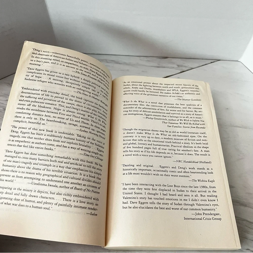 What Is The What A Novel By Dave Eggers Paper Back Book